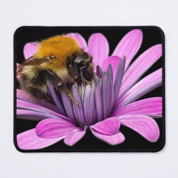 Item preview, Bumble bee on pink flower  designed and sold by Bethany's Point Of View .