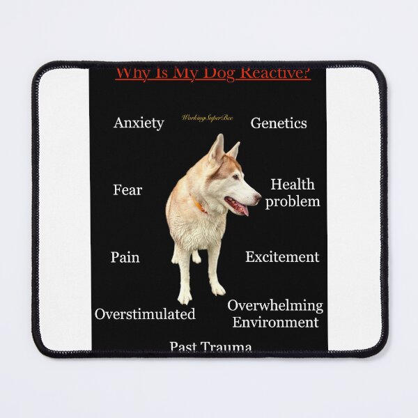 Item preview, Why Is My Dog Reactive designed and sold by Working Super Bee.