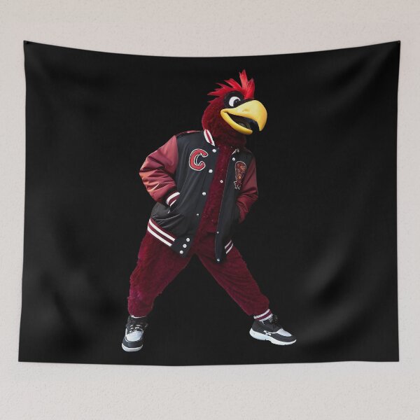 Item preview, Cocky Gamecock designed and sold by Uglyandcute.