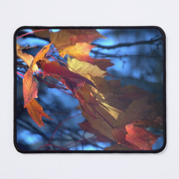 Item preview, Blue Sky and Vibrant Leaves designed and sold by Designs by Helen.