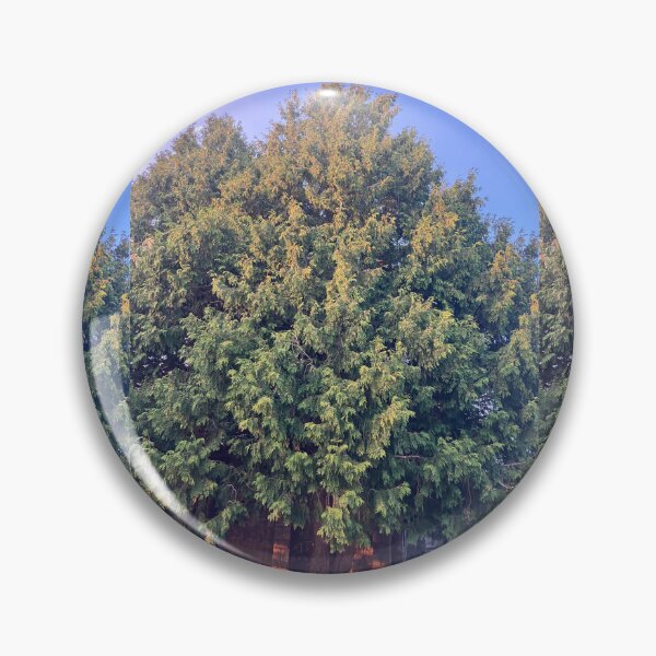 Item preview, Evergreens in front of the Old Monastery  designed and sold by Amanda1775.