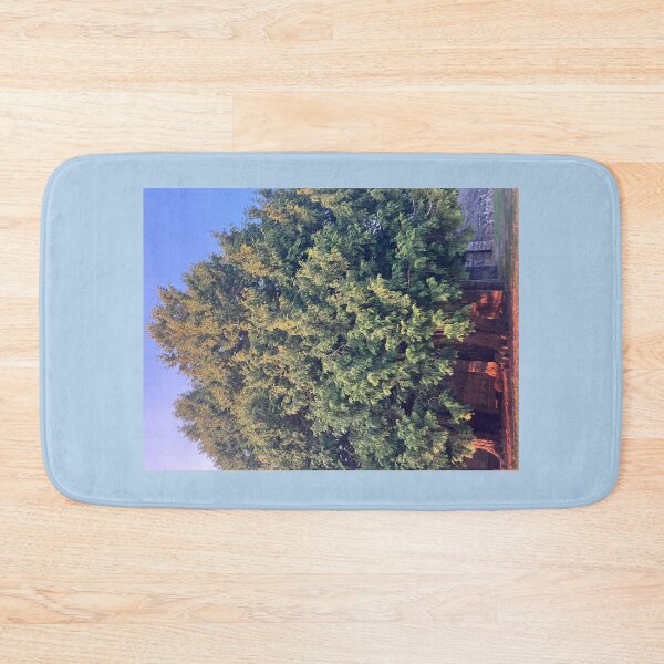 Item preview, Evergreens in front of the Old Monastery  designed and sold by Amanda1775.