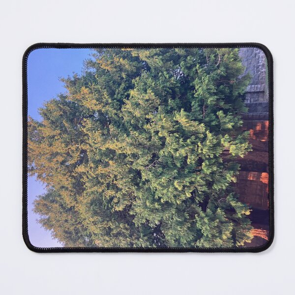 Item preview, Evergreens in front of the Old Monastery  designed and sold by Amanda1775.