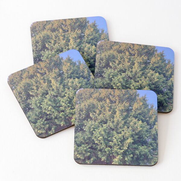 Item preview, Evergreens in front of the Old Monastery  designed and sold by Amanda1775.
