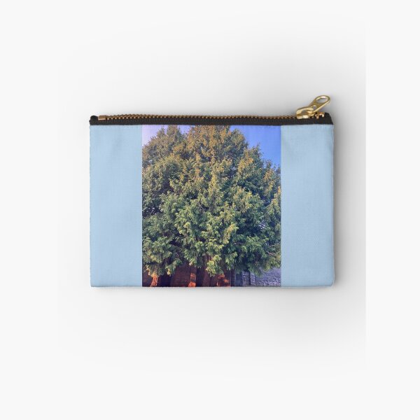 Item preview, Evergreens in front of the Old Monastery  designed and sold by Amanda1775.