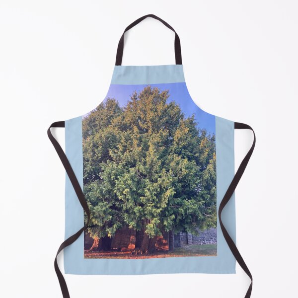 Item preview, Evergreens in front of the Old Monastery designed and sold by Amanda1775.
