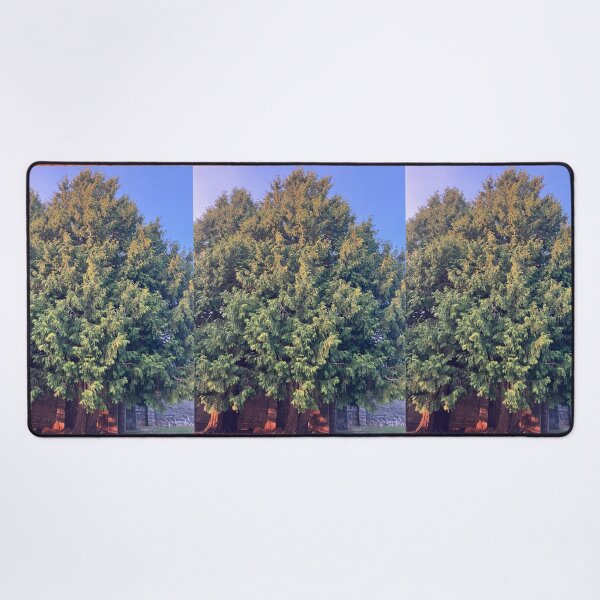 Item preview, Evergreens in front of the Old Monastery  designed and sold by Amanda1775.