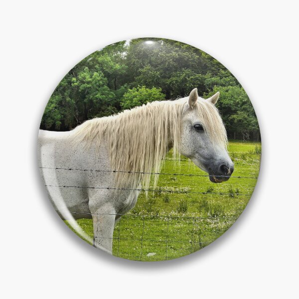 Artikelvorschau, Connemara-Pony, Irland entworfen und verkauft von FranWest.