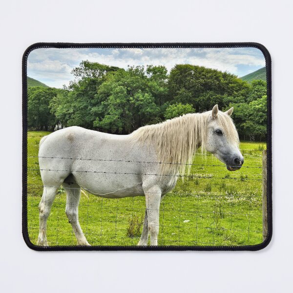 Item preview, Connemara pony, Ireland designed and sold by FranWest.