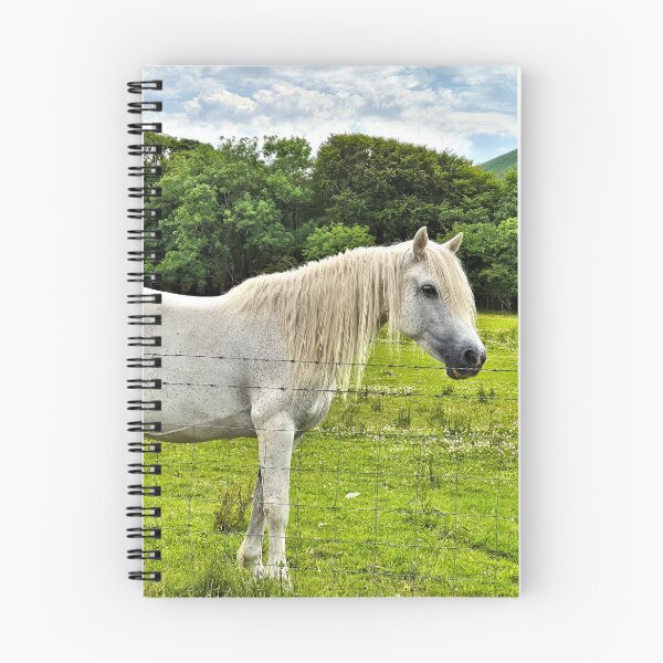 Item preview, Connemara pony, Ireland designed and sold by FranWest.
