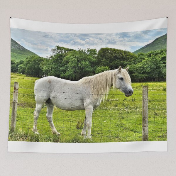 Item preview, Connemara pony, Ireland designed and sold by FranWest.
