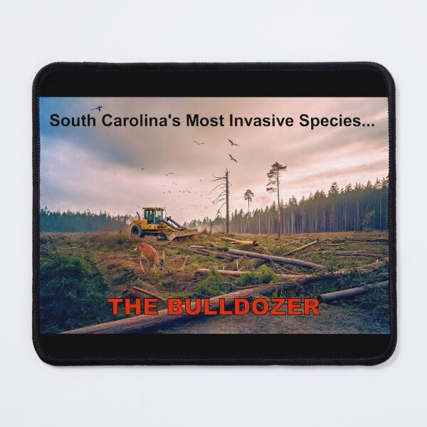 Item preview, South Carolina's Most Invasive Species designed and sold by Dawne's Designs.