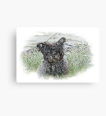 BUTCH Metal Print