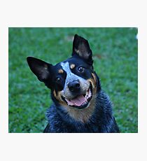 Loyalty and Devotion Photographic Print