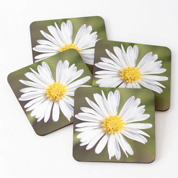 Item preview, Una simple margarita en la naturaleza designed and sold by HarmonyInView.
