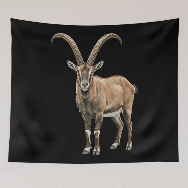 Item preview, Nubian ibex designed and sold by 4rtistcDrift.