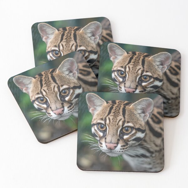 Item preview, Margay Cat designed and sold by Elisabeth Lucas.