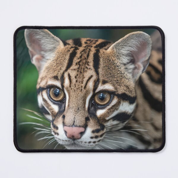 Item preview, Margay Cat designed and sold by Elisabeth Lucas.