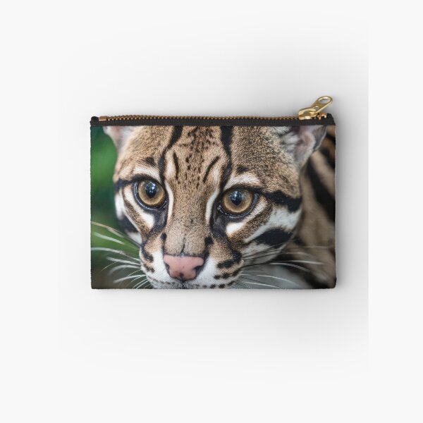 Item preview, Margay Cat designed and sold by Elisabeth Lucas.