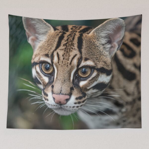 Item preview, Margay Cat designed and sold by Elisabeth Lucas.