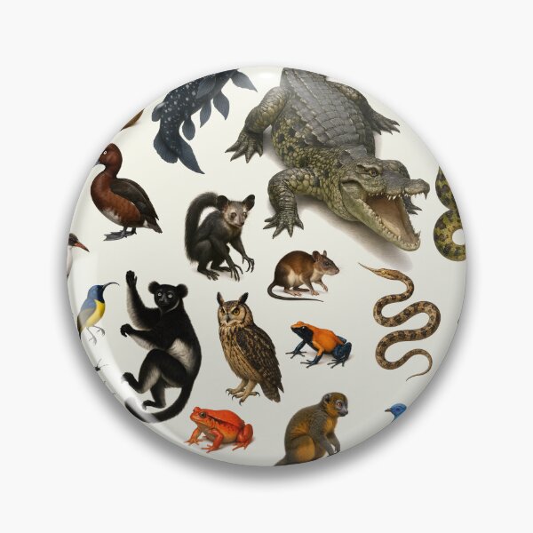 Item preview, Animals of Madagascar Retro Illustration Chart Scientific Art designed and sold by kakarikihill.