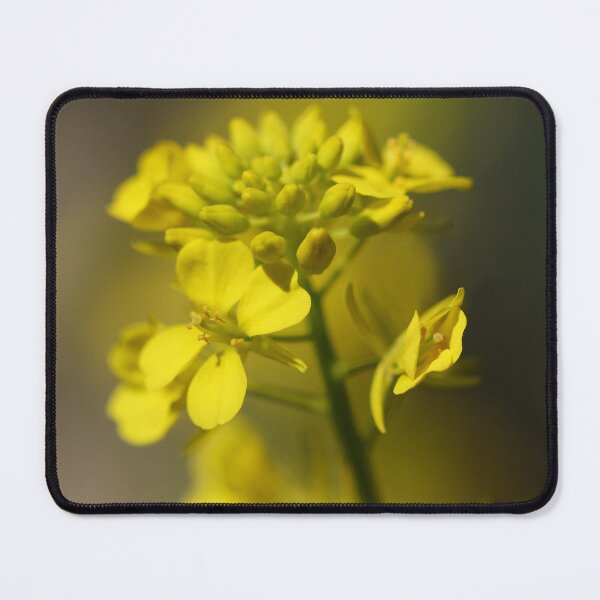 Item preview, Windy Day designed and sold by Siene Browne.