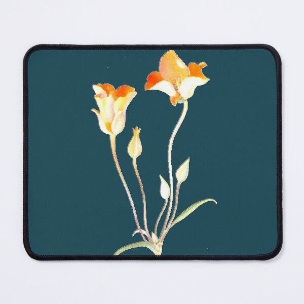 Item preview, Orange Mariposa Tulip designed and sold by Asok Mukhopadhyay.
