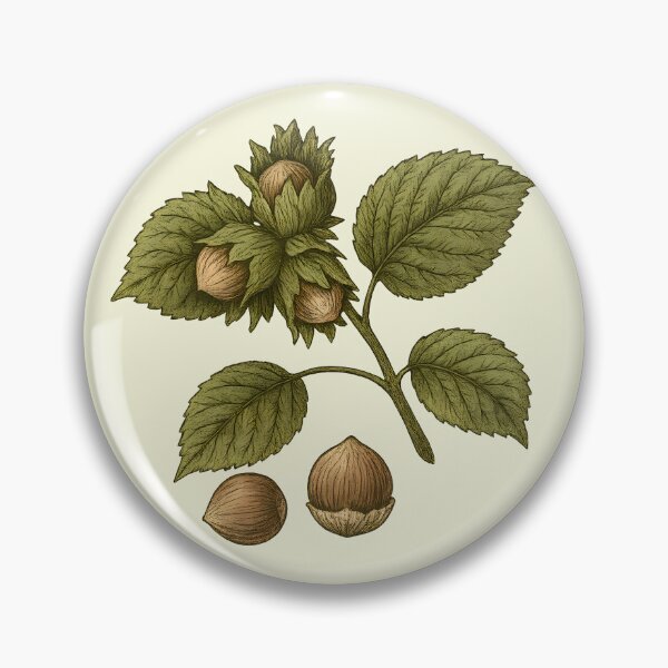Item preview, Hazelnut Hazelnuts and leaves vintage botanical illustration designed and sold by Edith Leyster.