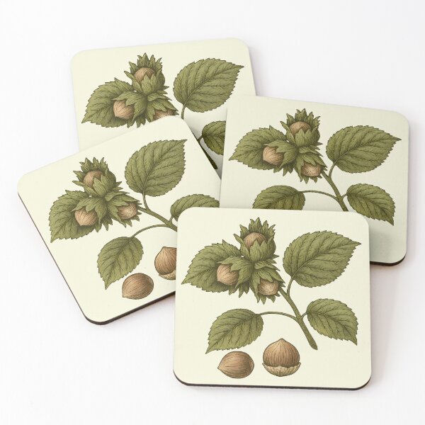 Item preview, Hazelnut Hazelnuts and leaves vintage botanical illustration designed and sold by Edith Leyster.