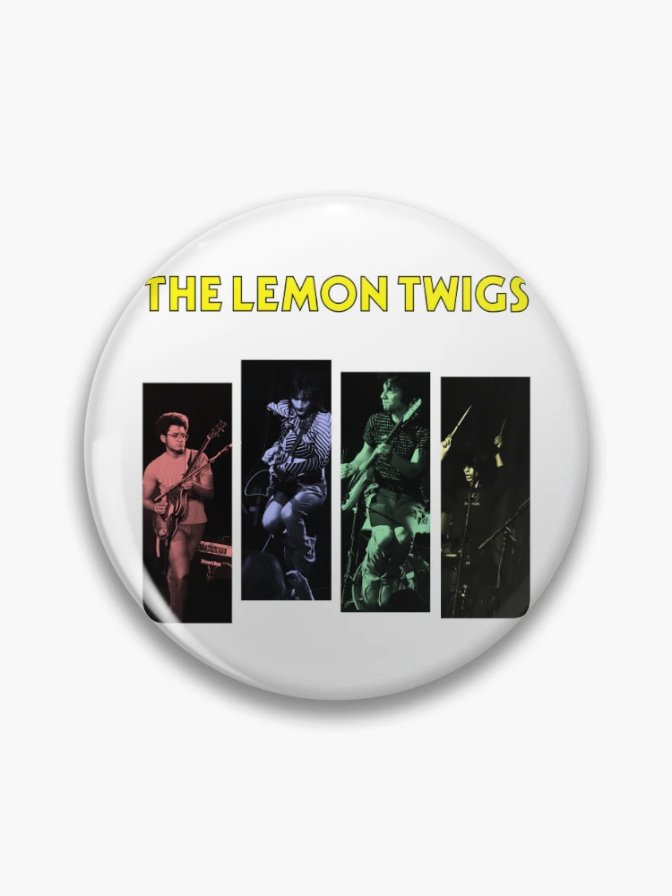 The Lemon Twigs Live!