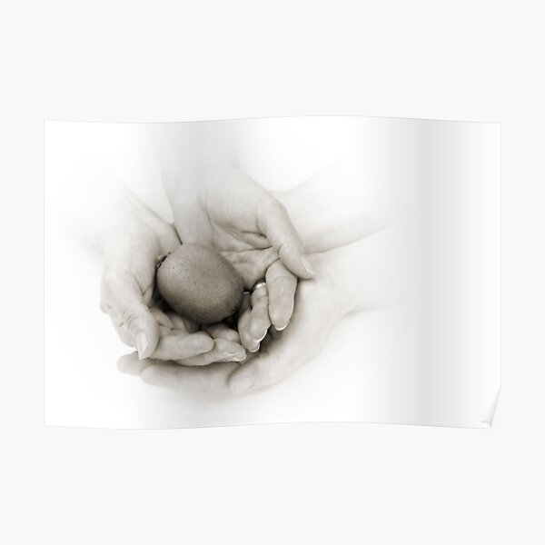 Hands: Health Poster