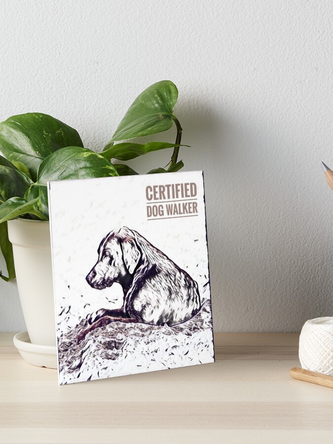 certified dog walker