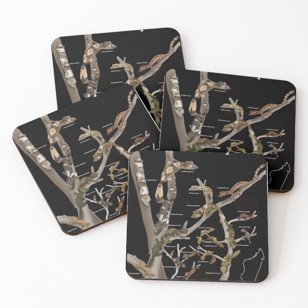Item preview, Uroplatus poster version2 designed and sold by TsyenD-art.