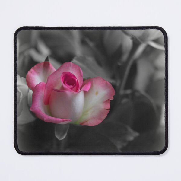 Item preview, Rose designed and sold by Designs by Helen.
