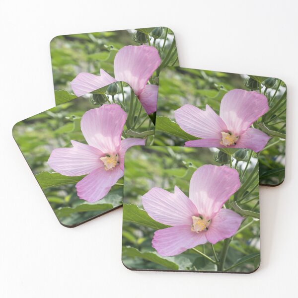 Item preview, Four Petal Hibiscus Bloom in Delicate Pink designed and sold by Georgia Mizuleva.