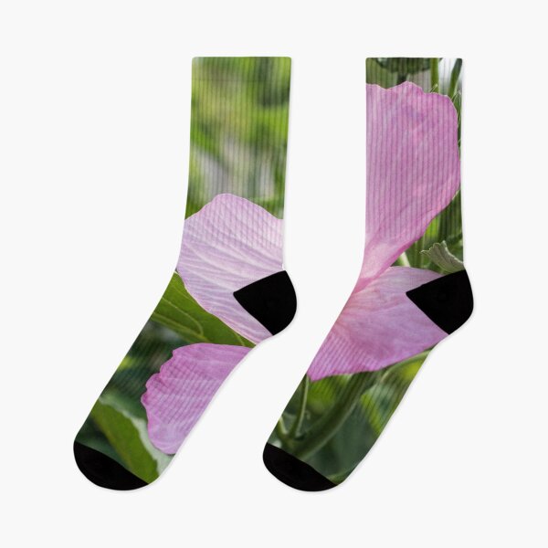 Item preview, Four Petal Hibiscus Bloom in Delicate Pink designed and sold by Georgia Mizuleva.