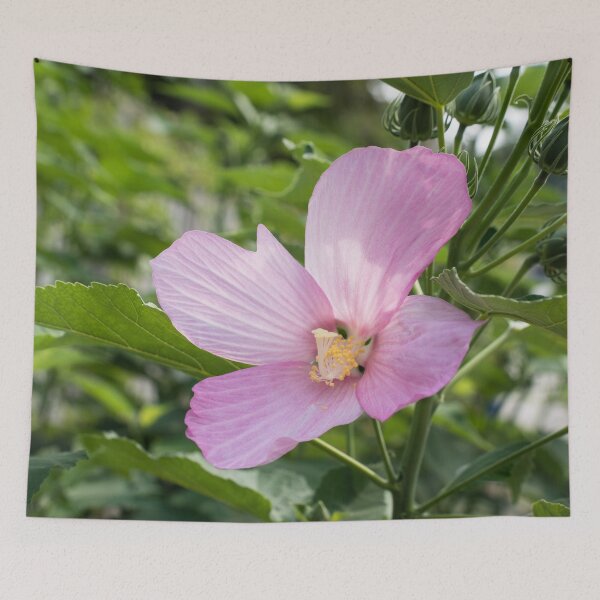 Item preview, Four Petal Hibiscus Bloom in Delicate Pink designed and sold by Georgia Mizuleva.
