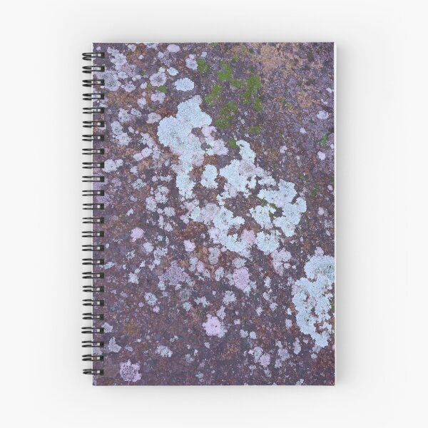Item preview, Blue rock, blue lichen designed and sold by stevepaint.