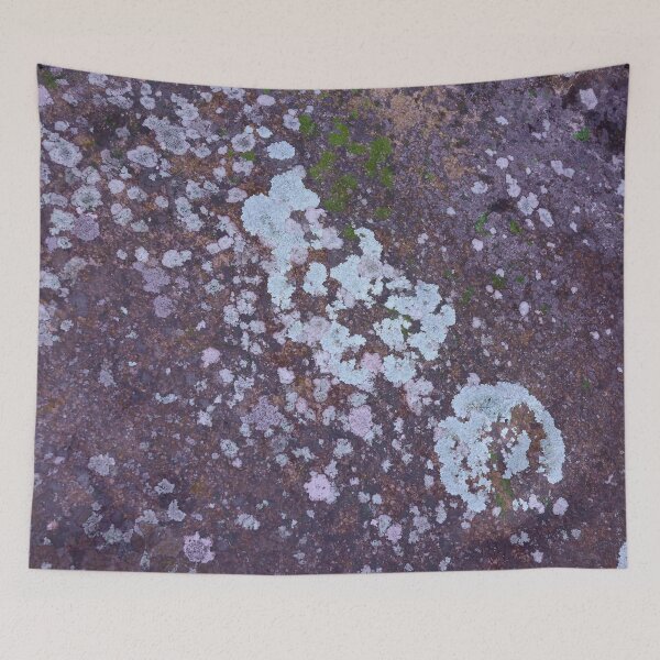 Item preview, Blue rock, blue lichen designed and sold by stevepaint.