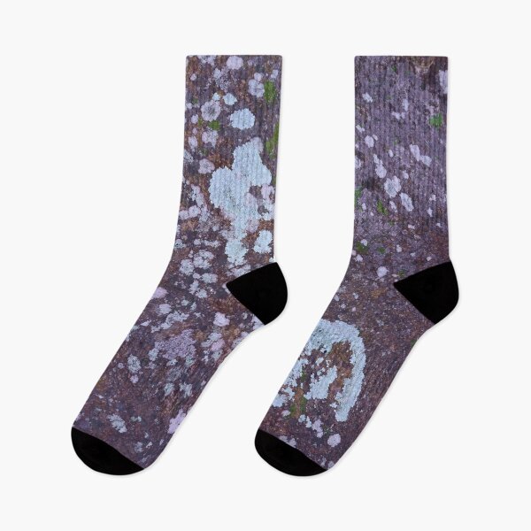 Item preview, Blue rock, blue lichen designed and sold by stevepaint.