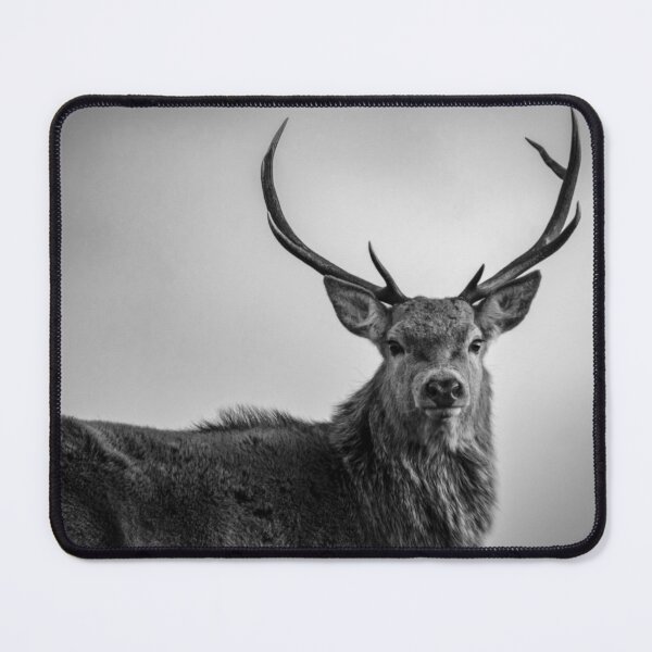 Item preview, Red Deer Stag in Highlands of Scotland black and white designed and sold by CEastwoodPhotos.