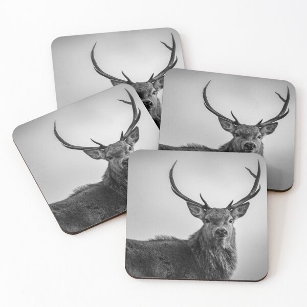 Item preview, Red Deer Stag in Highlands of Scotland black and white designed and sold by CEastwoodPhotos.