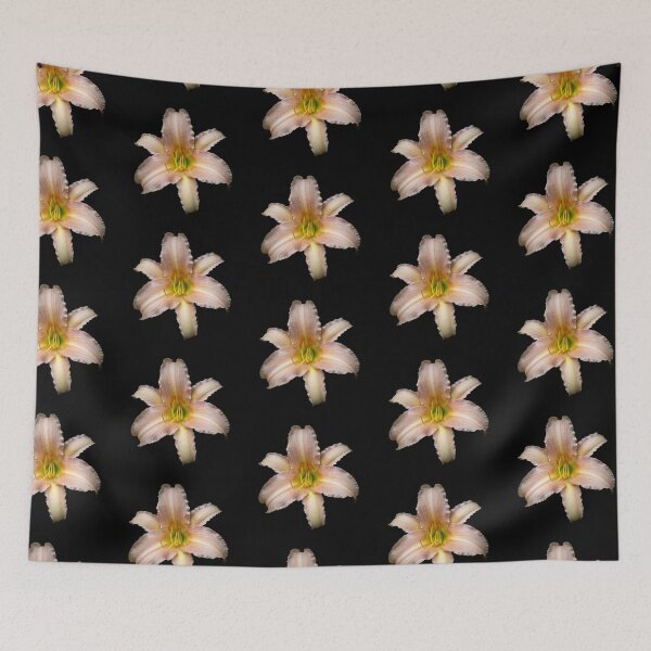 Item preview, Day Lily in isolation designed and sold by CEastwoodPhotos.