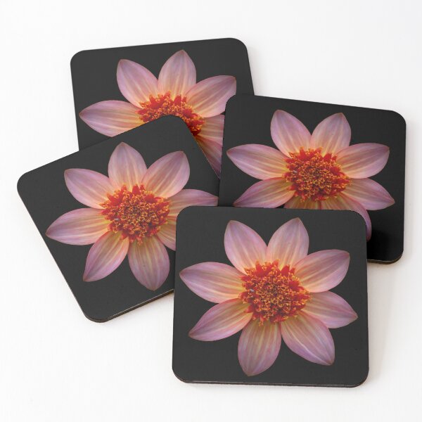 Item preview, Tangerine Dahlia close up  designed and sold by CEastwoodPhotos.