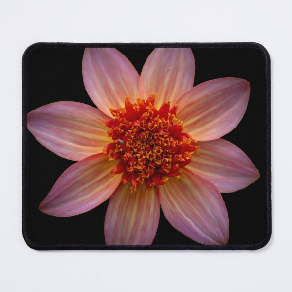 Item preview, Tangerine Dahlia close up designed and sold by CEastwoodPhotos.