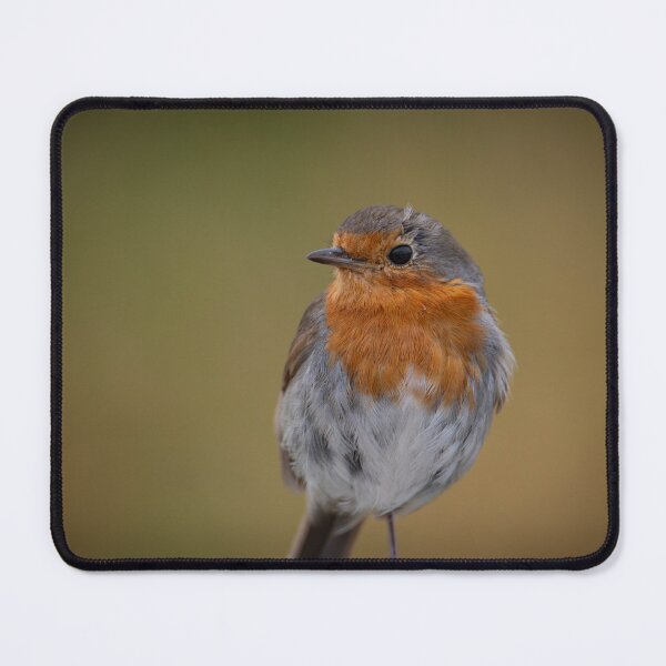 Item preview, Robin Red breast Close up designed and sold by CEastwoodPhotos.
