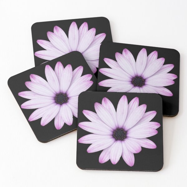 Item preview, Afican Daisy Close up on black background designed and sold by CEastwoodPhotos.