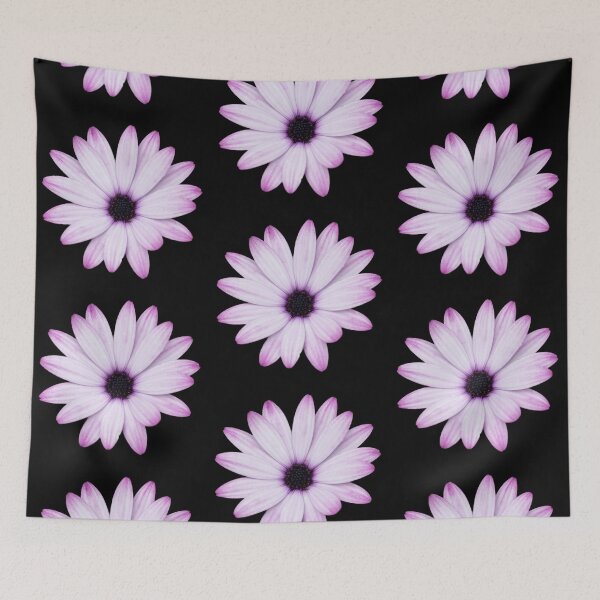 Item preview, Afican Daisy Close up on black background designed and sold by CEastwoodPhotos.