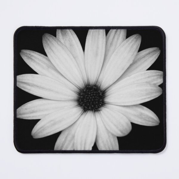 Item preview, Striking Black and White African Daisy designed and sold by CEastwoodPhotos.