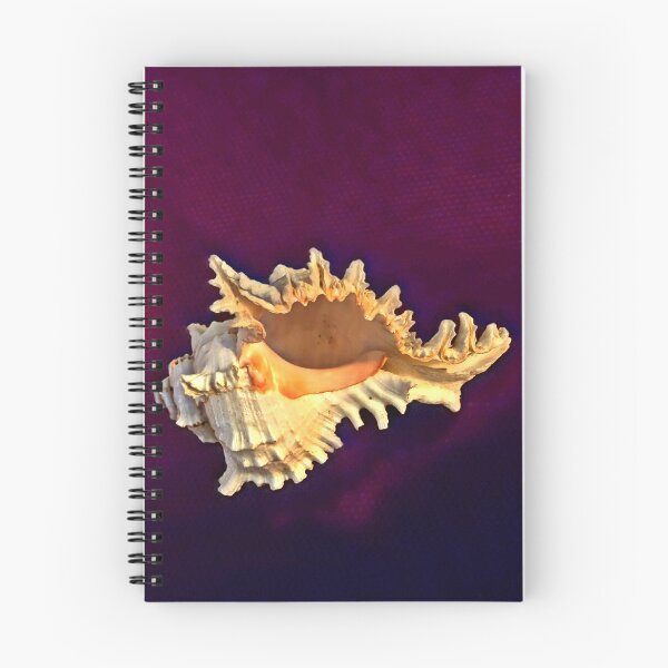 Item preview, Ocean Sounds in Seashell Harmony  designed and sold by Duncan-Mac.